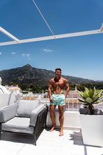 Load image into Gallery viewer, Hardy - Beach Glass