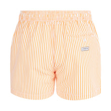 Load image into Gallery viewer, Hardy - Orange Stripe