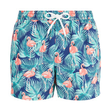 Load image into Gallery viewer, Hardy - Tropical Flamingo